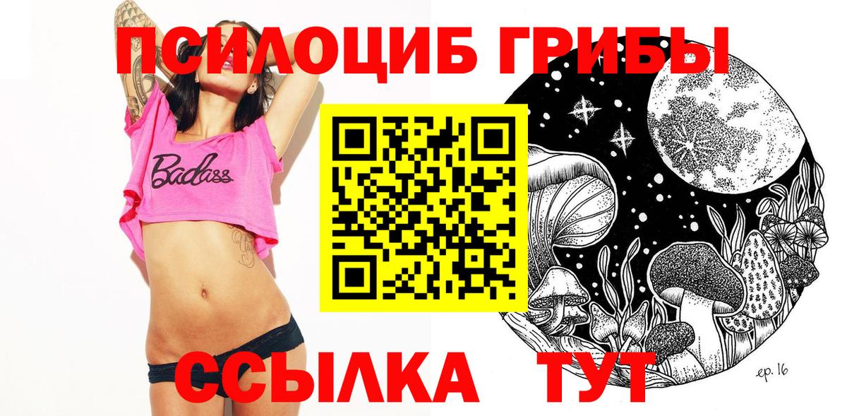 Тула  Псилоцибиновые грибы Cubensis  Вход с VPN  Галлюциногенные грибы Cubensis 